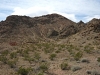 "Coyote Skull Peak"