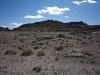 Shadscale Mesa