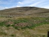 Gibbon Benchmark