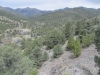 Quinn Canyon Range (HP)