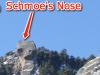 "Schmoe's Nose"
