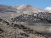 "Limestone Peak"