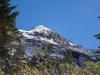 Peak Twelve