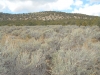 Black Knolls