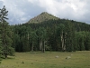 Demijohn Peak