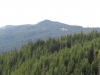 Cinnamon Peak