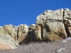 "Coyote Ridge"