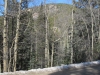 Arizona Mountain