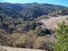 Briones Hills