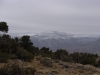 Triangle Mesa