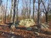 Buford Mountain