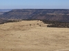 River Mesa