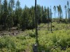 Lime Creek Mountain