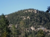Bear Mountain