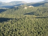 Crow Hill