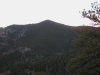 Tom, Mount