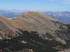 Wulsten Baldy