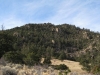 Midland Hill