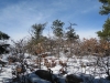 Wilds Peak
