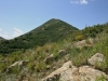 Nogal Peak
