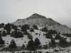 Tenderfoot Hill