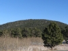 "Olive Peak"