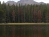 Bierstadt Moraine