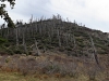 Cuyamaca Peak