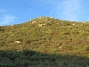 Iron Mountain