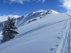 Bald Mountain