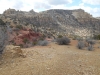 Locomotive Point