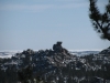 Bull Rock