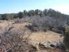 Dolores Canyon Overlook