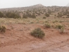Dry Mesa