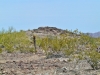 "Beer Hill"