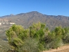 Buckhorn Mountain