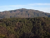 Signal Peak