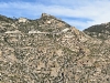 Lizard Rock