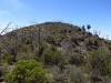 Rose Peak