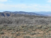 Polar Mesa