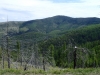 Blue Mountain