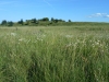 Powell Butte