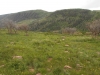 Horse Mountain