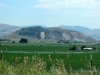 2006