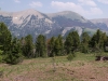 Triple Peak