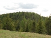 Quartz Mountain