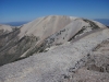 Gold Mountain