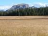 Sheep Mountain