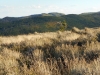 Mormon Ridge