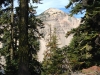 Watchman, The